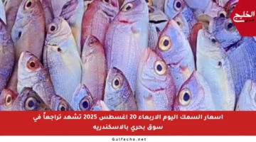 أسعار السمك اليوم الأربعاء 20 أغسطس 2025 تشهد تراجعاً في سوق بحري بالإسكندرية
